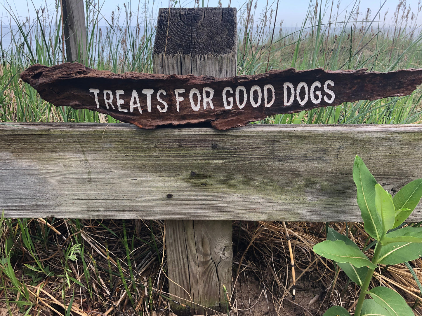 Because good dogs deserve all the treats